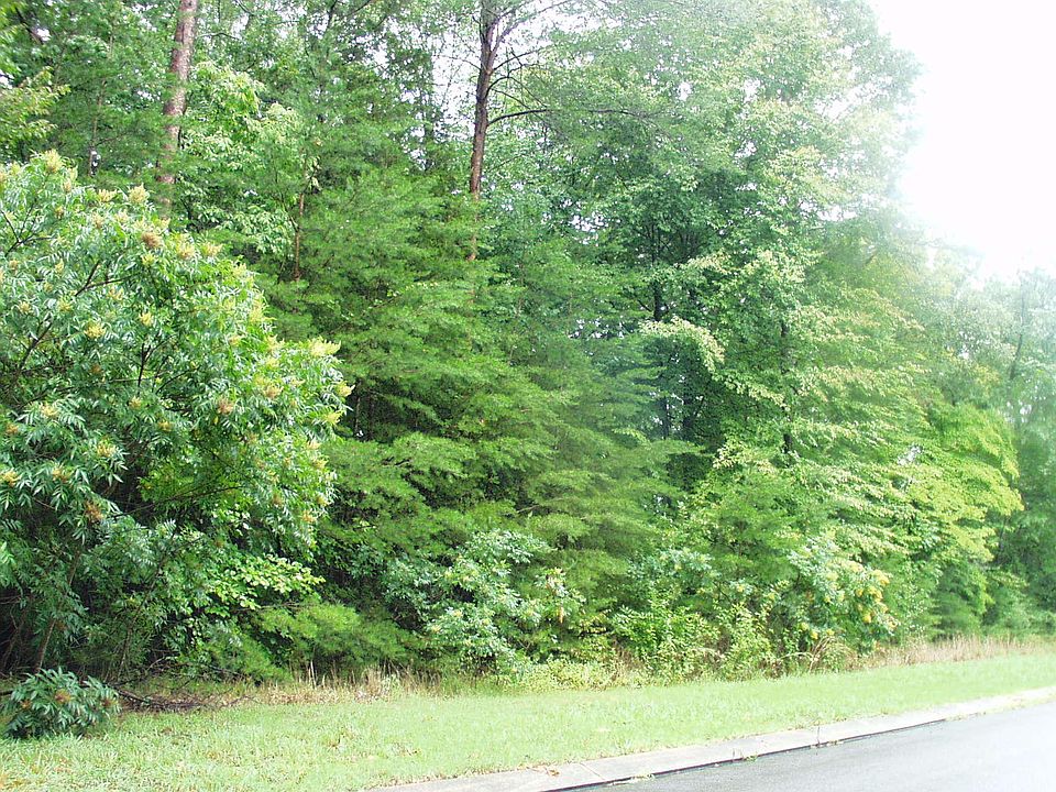 1st image of 47 Big Cedar Dr
