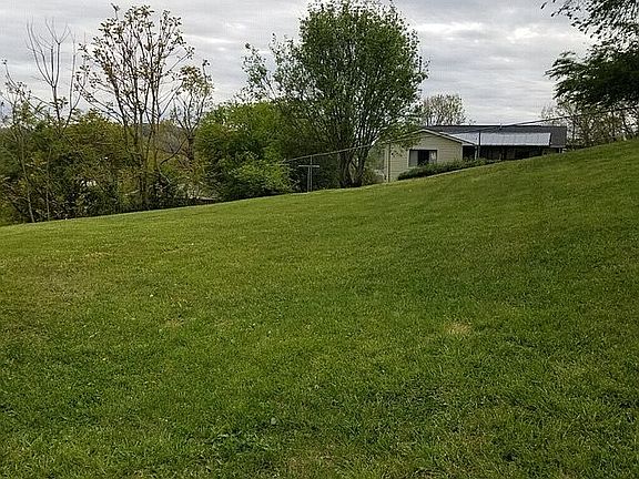Great back yard