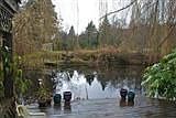 Pond view 1
