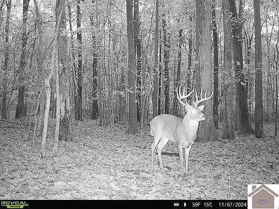 5th image of 0 Bluff Rd