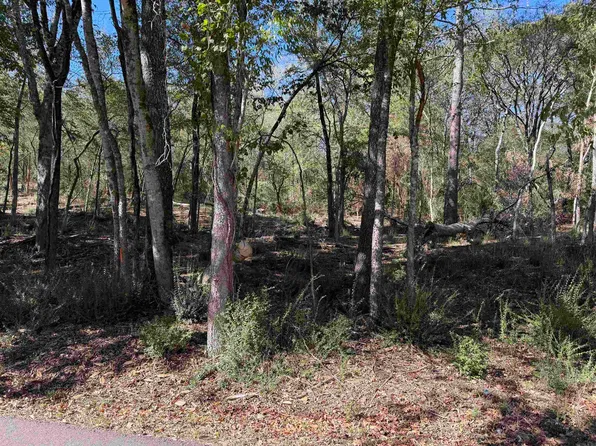 0 Cozy Acres Ter, Mountain Pine, AR 71956