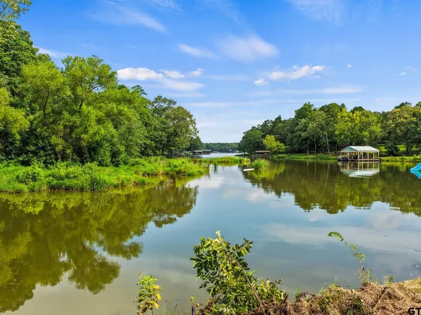 133 Sandy Lake Rd, Scroggins, TX 75480