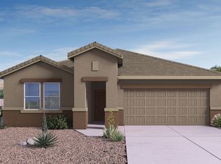 Dalea Plan, Saguaro Bloom, Marana, AZ 85653