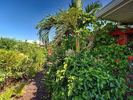 7339 Thomas St — Photo 28