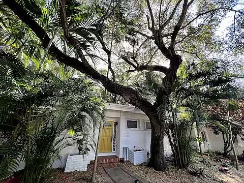 Front yard