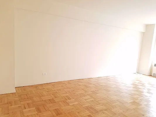 Rented by Manhattan Apartment Organization | media 7