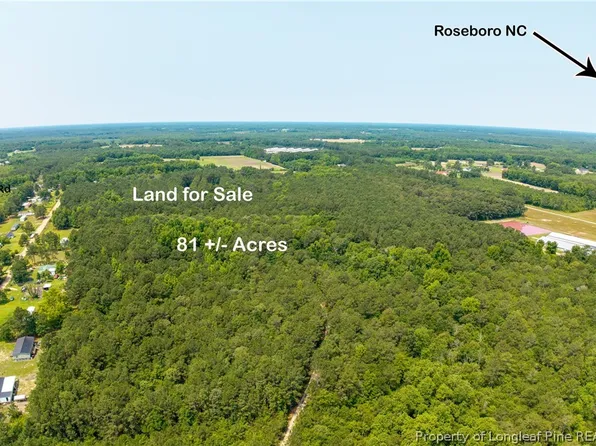 Big Piney Grove Rd, Clinton, NC 28328