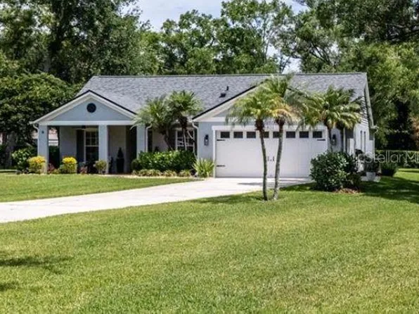 5801 Black Walnut Ct, Tampa, FL 33625