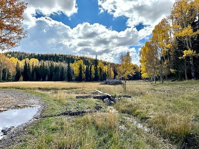 1st image of 411 N Arrowleaf Dr Lot 44-A
