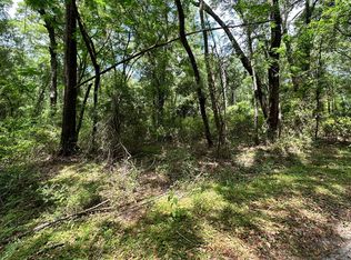 143 Drive, O'Brien, FL 32071