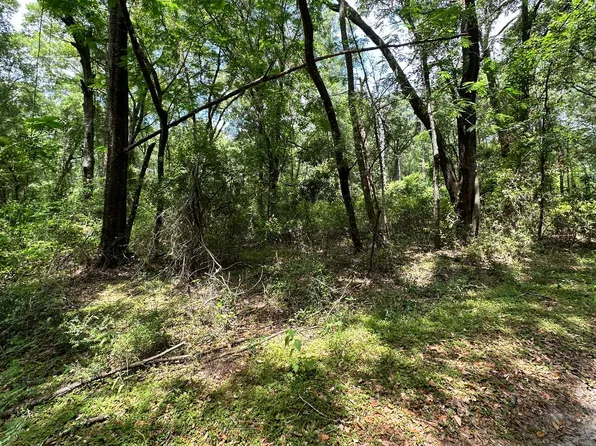 143 Drive, O'Brien, FL 32071