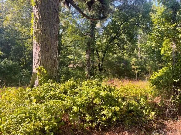 4377 Grant 58, Redfield, AR 72132