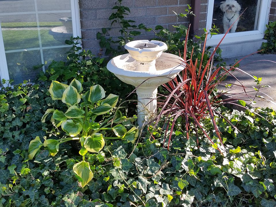 2nd image of 4083 W Cool Breeze Cir