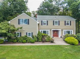 20 Meadowbrook Rd, Randolph, NJ 07869