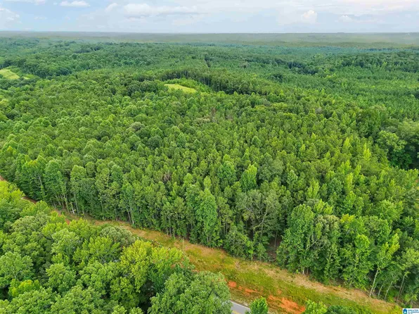 County Road 520 #20, Verbena, AL 36091