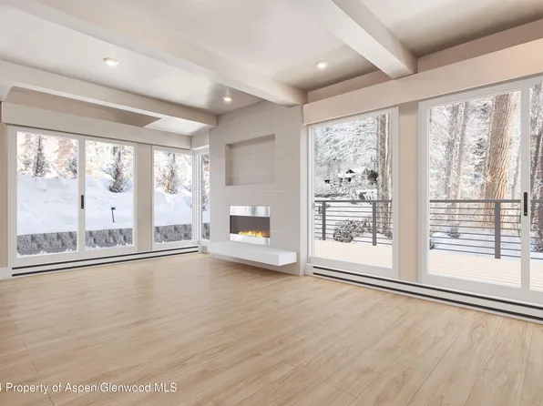 1039 E Cooper Ave APT 1A, Aspen, CO 81611