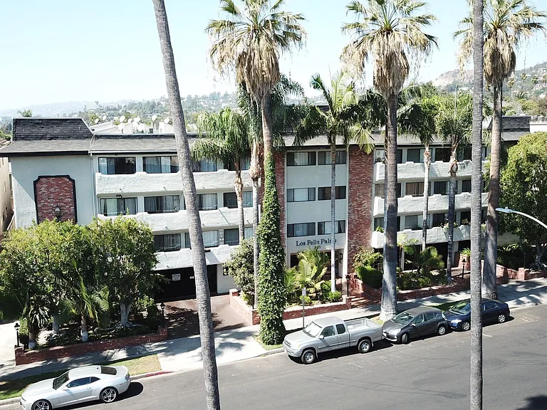 Los Feliz Palms — Photo 9