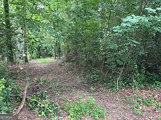 3rd image of 3736 Overlook Dr