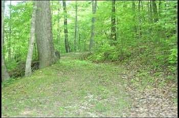 2nd image of Lucas Ln