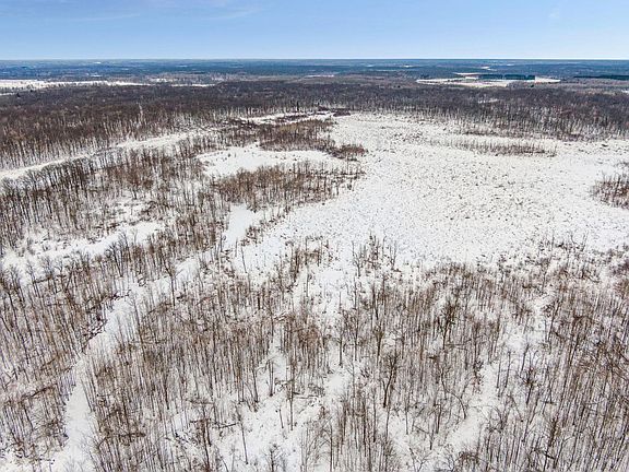 4th image of Kite St