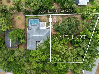 Needle Palm Dr #2213, Edgewater, FL, 32132