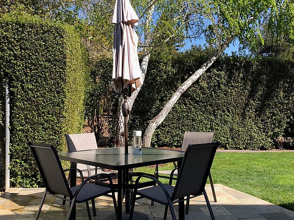 Shared Back yard