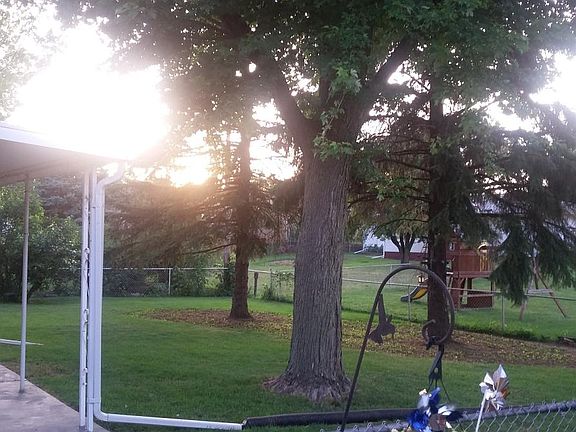 shaded back yard/covered patio
