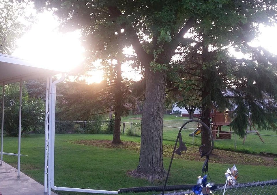 shaded back yard/covered patio