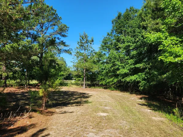 1383 Paul Lord Rd, Wrightsville, GA 31096