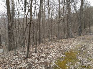 Spring Dr, Spring dr, VA 24128