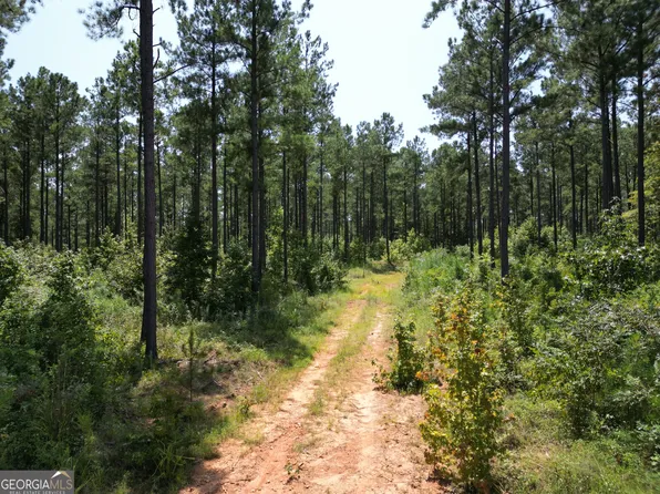 0 Martin Mill Rd, Eatonton, GA 31024