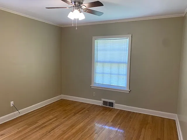 264 Patterson St — Photo 18
