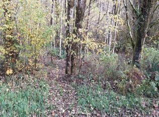 0 W Lillie Rd, Elma, WA 98541