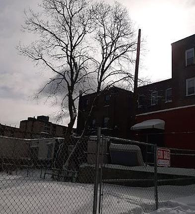 2nd image of 4 Orchard St