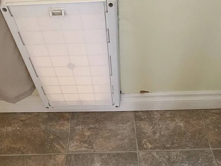 Pet door in the laundry room