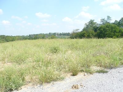 76 Reagan Dr, Taylorsville, KY, 40071