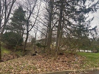 3rd image of 11 Old Deyo Hill Rd