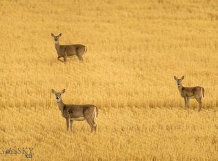 Tbd Skinner Rd, Belgrade, MT 59714