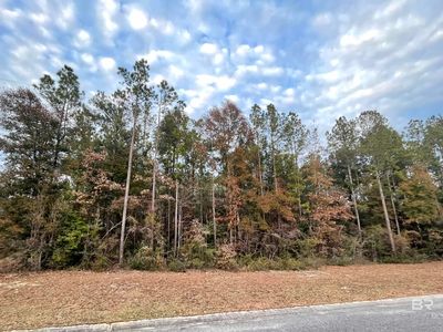14850 Cayden Cir #13, Stapleton, AL, 36578