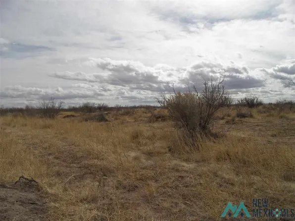 Elfido Rd NE, Deming, NM 88030