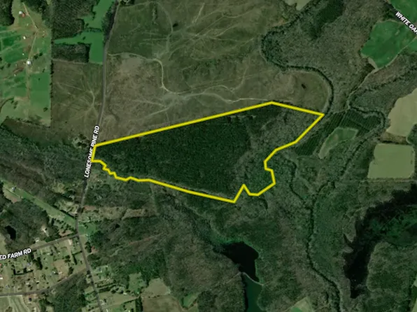 Lonesome Pine & Watson S Lot Wp000, Whitakers, NC 27891