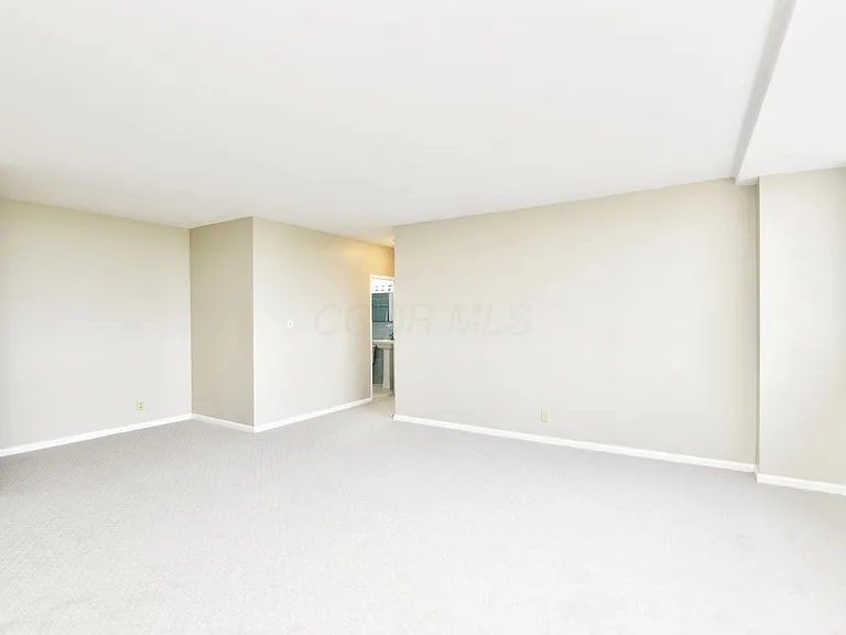 1620 E Broad St #1202 — Photo 12