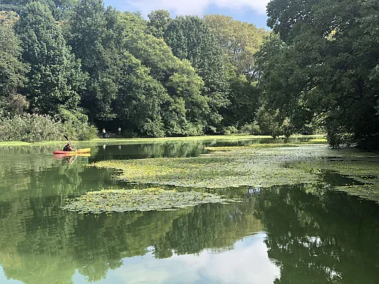 Rented by Space Real Estate | media 49