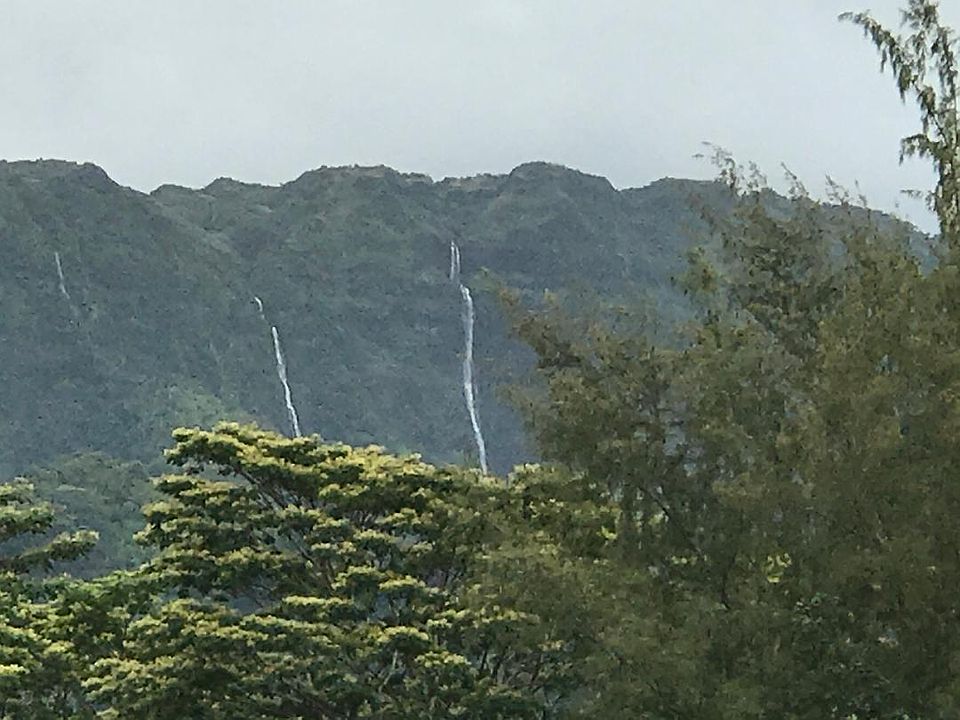 Veiw fron the Lanai