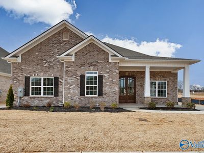 14393 NW White Creek Trl, Athens, AL, 35611