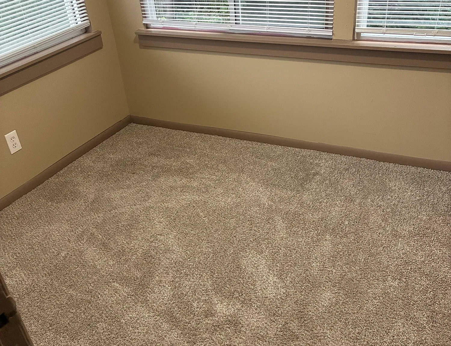 2 bed, 840 sqft, $1,117 — Photo 4