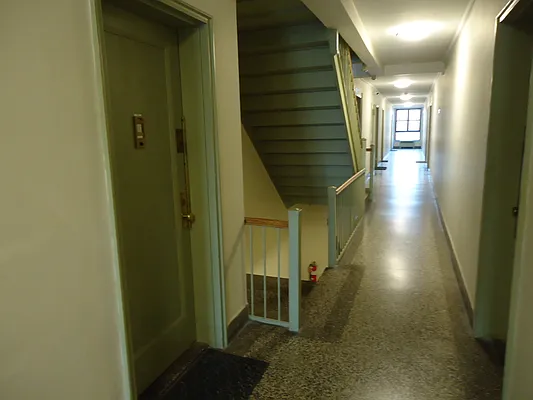 Rented by The Coop Connection LLC | media 19