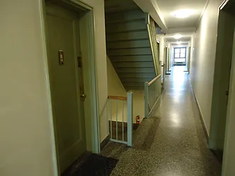 Rented by The Coop Connection LLC