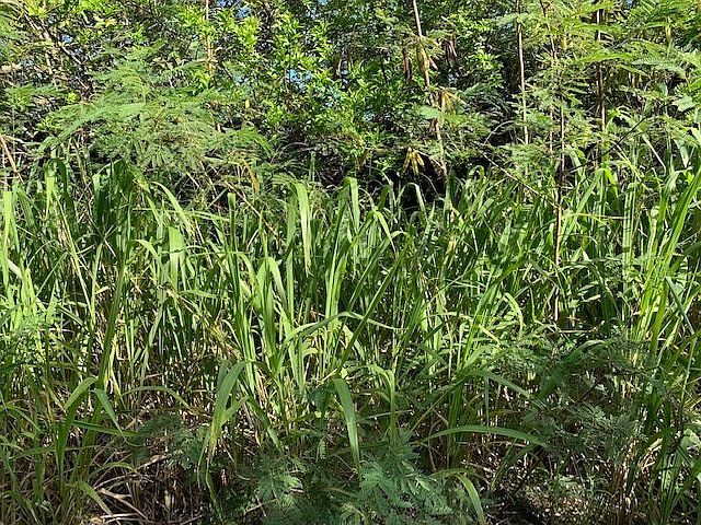 2nd image of 94-6445 Palaoa Rd Lot 13