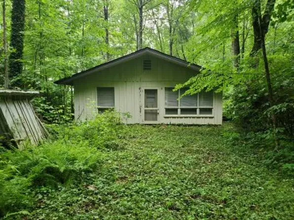 119 Crackerjack Ln, Whittier, NC 28789